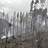 "Tendencia climática compleja": Chubut se prepara y teme por dos riesgos latentes