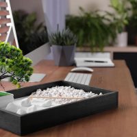 Horóscopo chino: cuáles son los recursos del feng shui para sortear las malas rachas