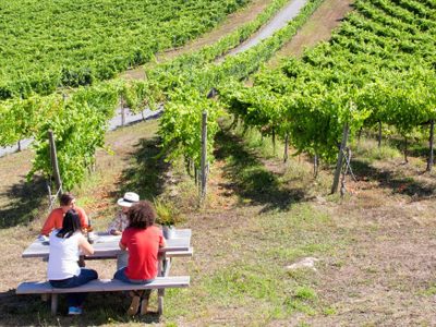 El Enoturismo en La Rioja, España, da muestras de optimismo