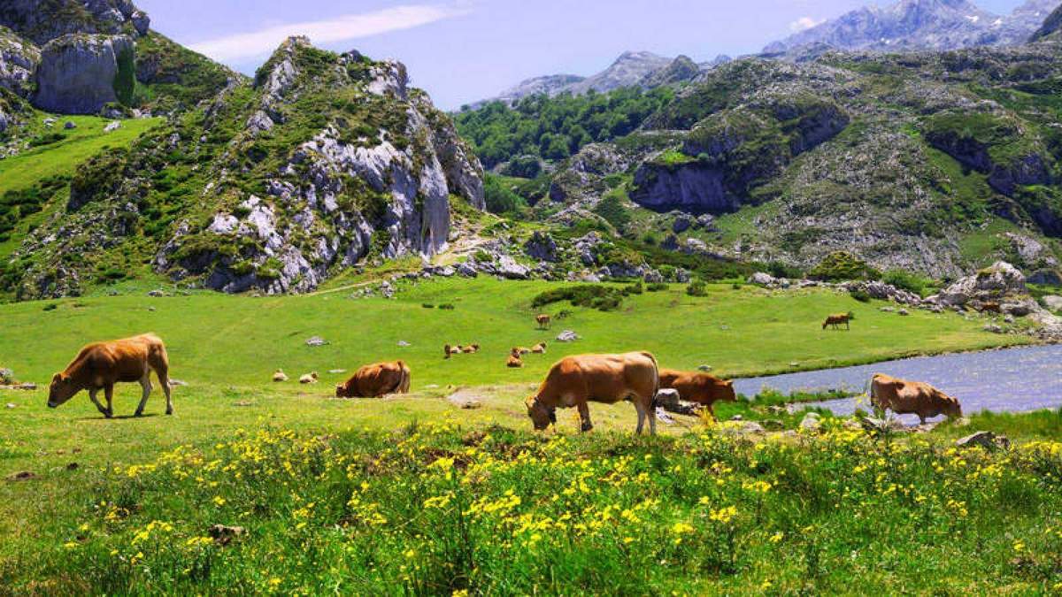 Turismo rural, el nuevo destino de los viajeros. Fuente: (Instagram)