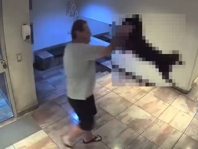 Maltrato animal: detuvieron a un hombre que estrelló a su perro contra el suelo
