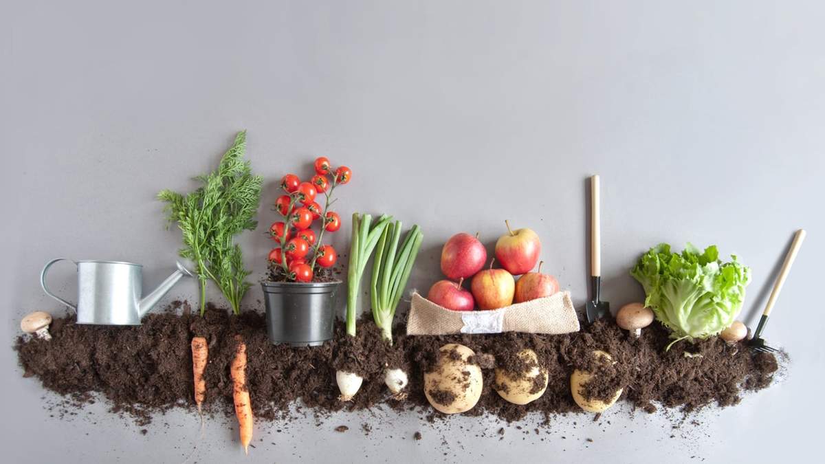 Compost en casa. Fuente: (Instagram)