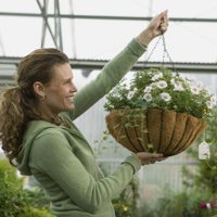 5 consejos para regar mejor las plantas colgantes