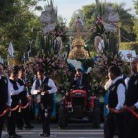 Romería de Zapopan será reconocida como patrimonio inmaterial por la Unesco