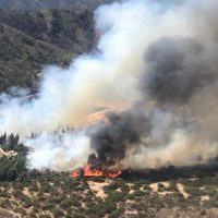Defensa Civil advierte por presencia de humo en Neuquén