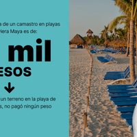 Las claves del paraíso secreto de los Bartlett