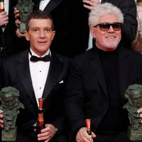 Pedro Almodóvar y Antonio Banderas se posicionan como potenciales ganadores de importante premio