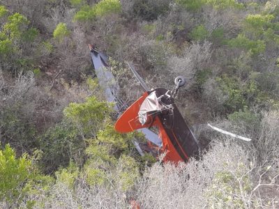 Un muerto y un herido por desplome de avioneta en Salinas Victoria, NL