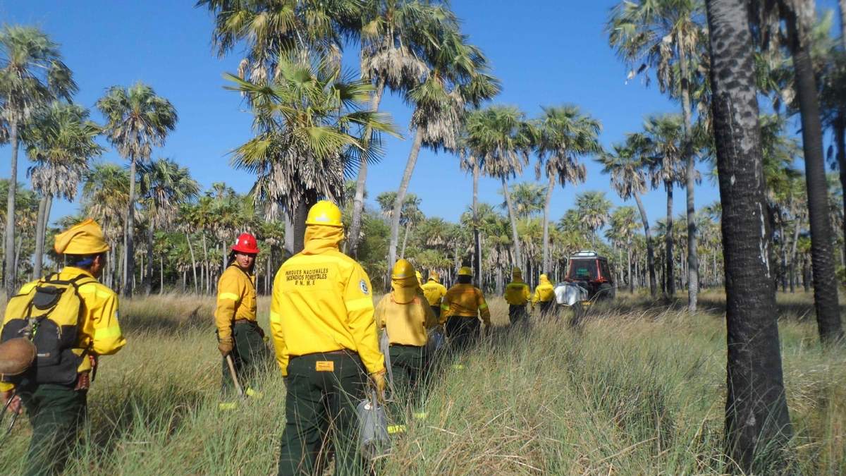 Curso para combatientes forestales. Fuente (argentina.gob.ar).