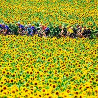 Todo sobre el Tour de Francia 2024: salida desde Italia y un final olímpico en Niza