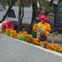 Por el Mundial, adelantan la instalación de flor de cempasúchil en avenidas de la CDMX