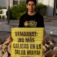 Calica debe reparar daños ambientales en Playa del Carmen: Juzgado federal de Quintana Roo