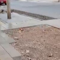 Una vereda abandonada desde hace años en plena Ciudad de Mendoza
