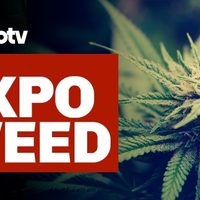 Proceso TV - ExpoWeed: Cannabis, prejuicios y bondades