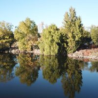 La Municipalidad de Neuquén Capital asume un nuevo desafío ambiental