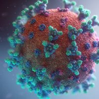 Alerta desde Sudáfrica: descubrieron una nueva variante de coronavirus con múltiples mutaciones