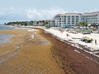 Cinco años infructuosos para detener el sargazo en Quintana Roo