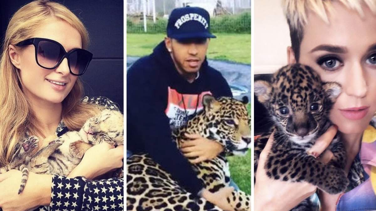 Paris Hilton, Lewis Hamilton, Kary Perry