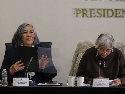 María Estela Ríos, aspirante a ministra: “reconozco que sí soy afín a las ideas del presidente”