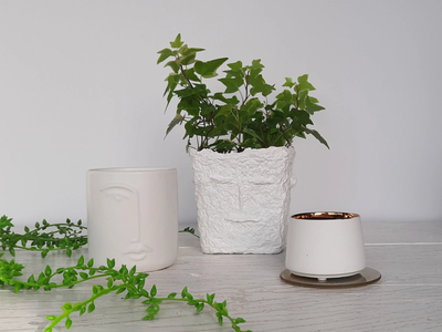 No tires las hojas de papel usadas: reciclalas y creá estas mini macetas tan lindas para tus suculentas
