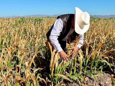 El agro sinaloense, en medio de la tormenta perfecta