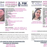 Hombres armados interceptan y raptan a Teresa y Herminia en Mazatlán; lanzan Protocolo Alba
