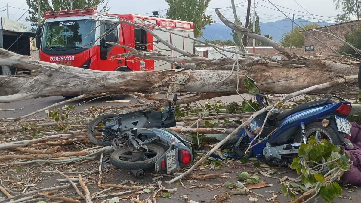 Un motociclista murió aplastado por un árbol en Las Heras y otro resultó herido