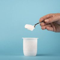 No los tires: tranformá los envases de yogur vacíos en este adorno infaltable para tu casa en época de fiestas