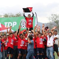 Avispones de Chilpancingo asciende a Segunda División