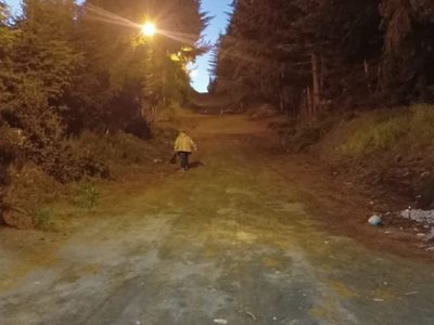Un momento de terror para una mujer: volvía de su trabajo y la atacó un hombre