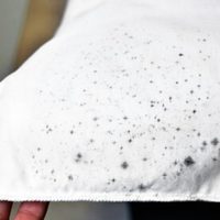 Decile adiós a los hongos en la ropa: así tenés que lavarla para que quede como nueva