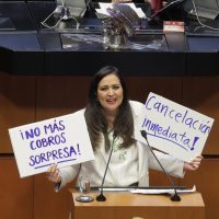 El Senado aprueba en fast track la reforma que regula las suscripciones digitales