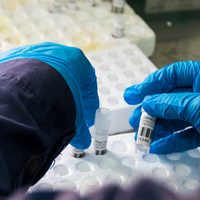 Cuál es el escenario actual del coronavirus en Neuquén