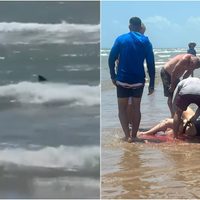 Ataques consecutivos de tiburón a turistas en la Isla del Padre, Texas (Videos)
