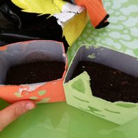 Con la caja de leche que ibas a tirar, creá la macetita más chic para tus plantas y dale un toque glam a tu hogar