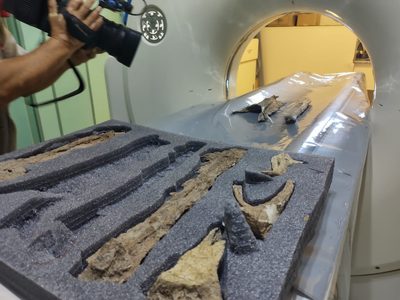 Hecho trascendental: Río Negro realizó la primera tomografía de restos fósiles