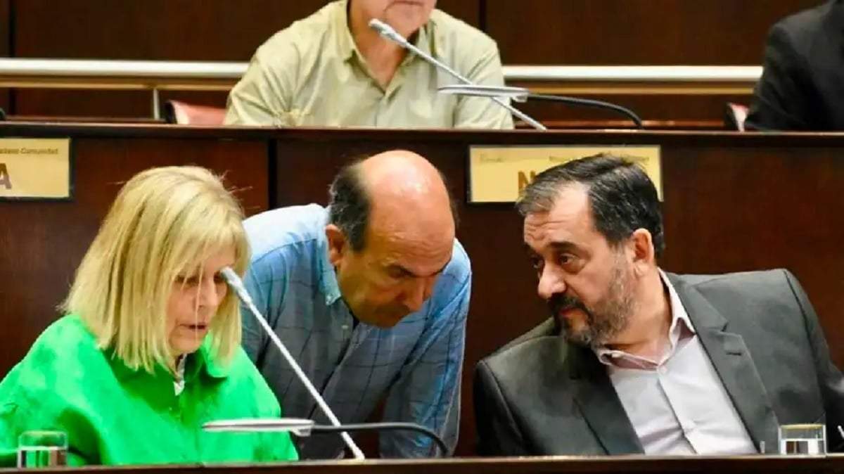Los diputados del PRO se encargarán de trabajar en la política de alianzas. Fuente: (X)