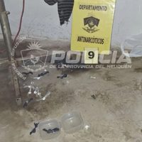 Narcomenudeo: secuestran drogas, armas y detienen a 3 personas en el barrio Alto Godoy de Neuquén
