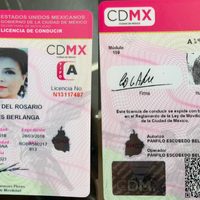 Rosario Robles seguirá en prisión; abogado acusa a FGR de presentar licencia falsa