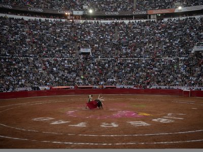 Jueza ordena la suspensión inmediata de corridas de toros en la Plaza México