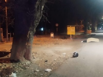 Un motociclista murió al chocar contra un árbol