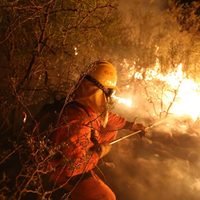 Declaran la emergencia ígnea en todo el país por los incendios forestales