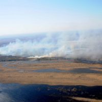 La lluvia ayudó a controlar el incendio en el Delta del Paraná