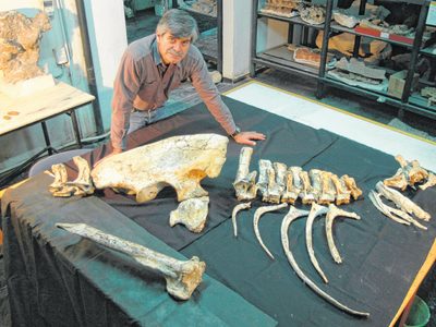 Se inauguró un laboratorio arqueológico y paleontológico en la ciudad de Neuquén