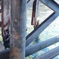 Denuncian grave estado de abandono en el muelle del Parque Los Arrayanes