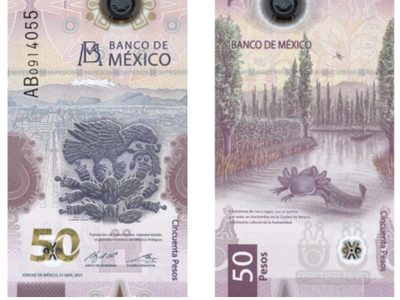 Billete de 50 pesos recibe reconocimiento como más bonito del mundo, es el segundo año consecutivo