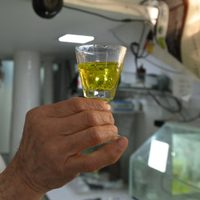 Alerta: qué es el dióxido de cloro y qué riesgos tiene en la salud