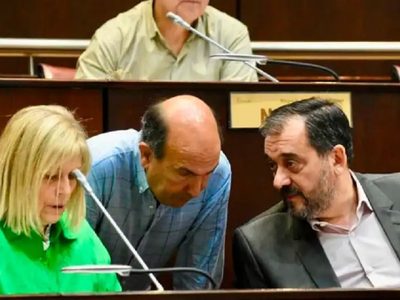 El PRO proclamó a Leticia Esteves como presidenta y ratificó la alianza con Figueroa