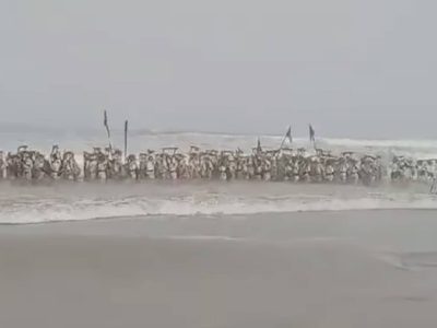 Buque pesquero halla tercer cuerpo de militar arrastrado por oleaje en Ensenada