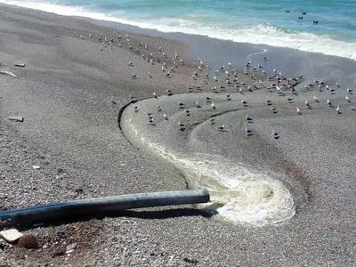 La contaminación ambiental opaca el paisaje de Caleta Olivia